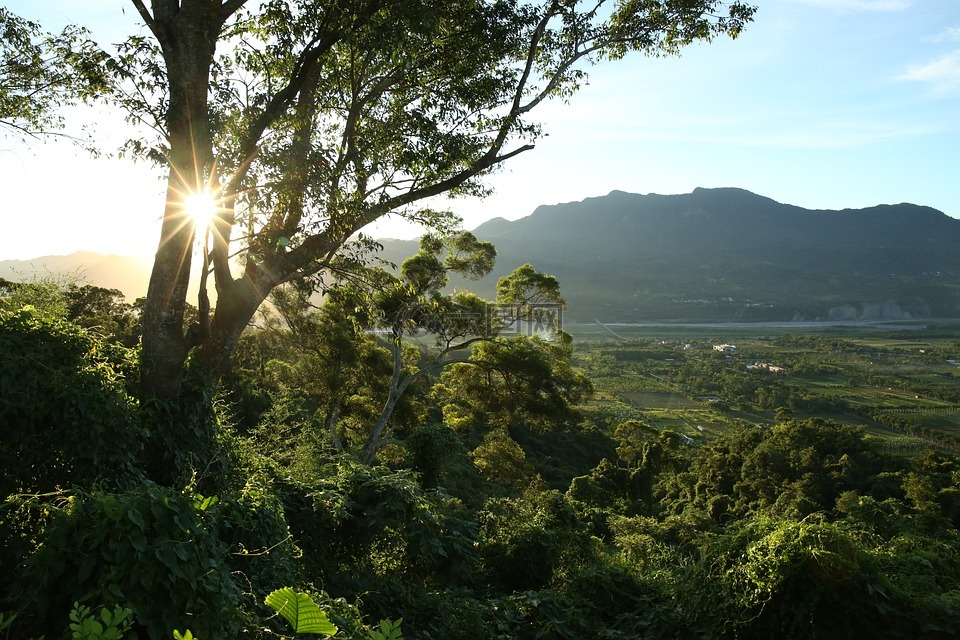 風景,鄉村,光