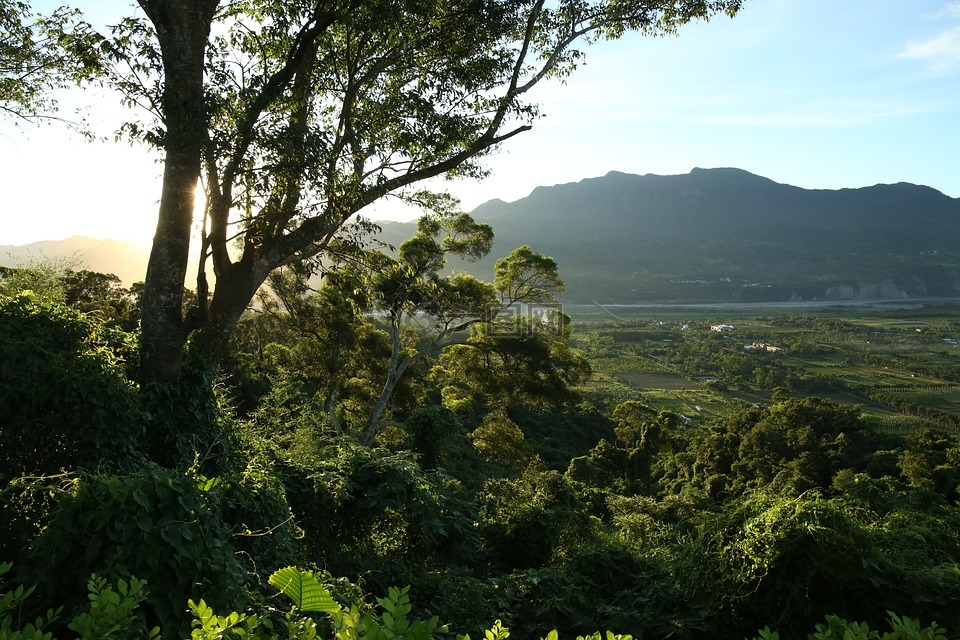 風景,鄉村,光