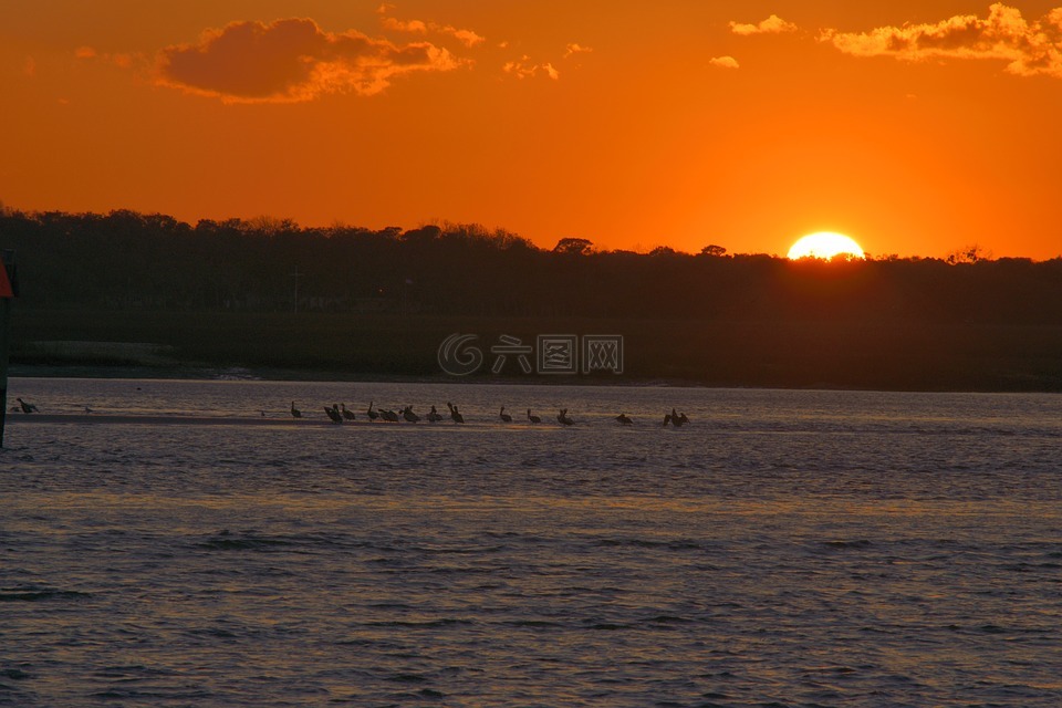 日落,雄伟,充满活力
