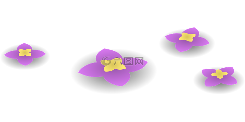 鲜花,紫色,丁香