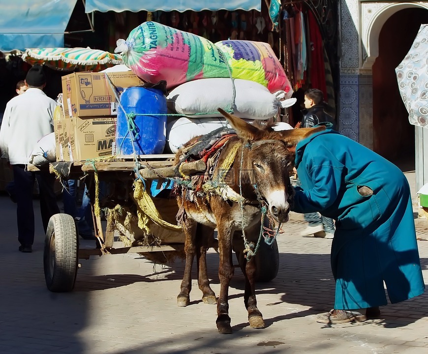 摩洛哥,马拉喀什,搭便车