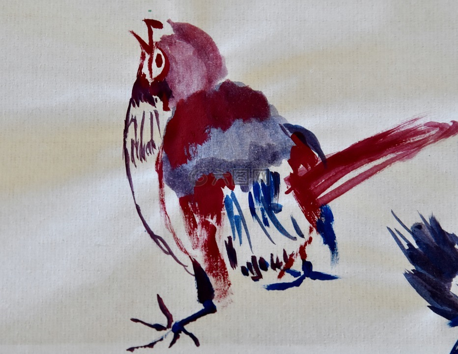 鸟,中国画,画
