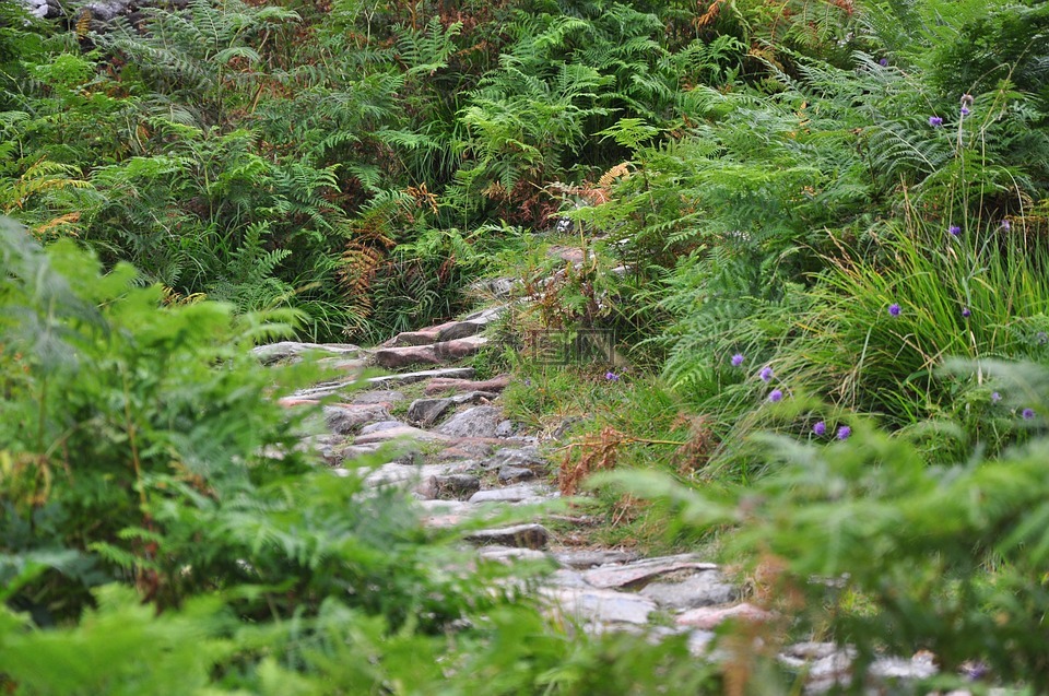 苏格兰,隐谷巴拉胡利什,山