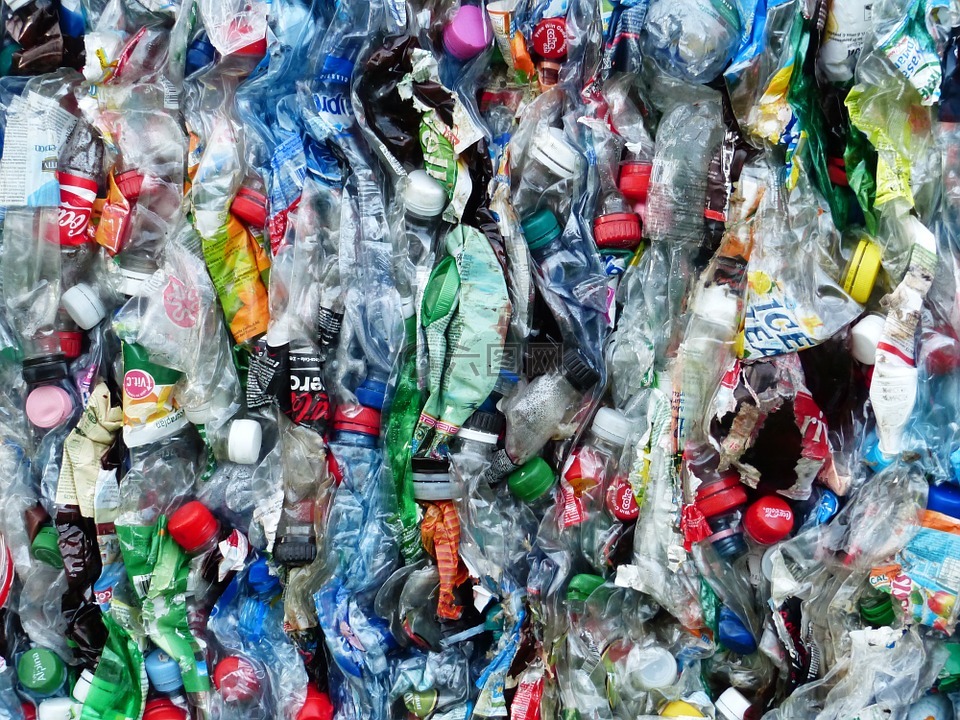 塑料瓶,瓶,回收