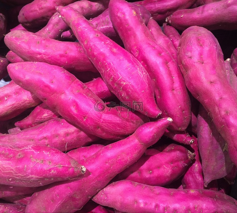 甘薯,红薯,红紫色