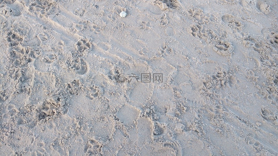 沙,痕迹,占地面积