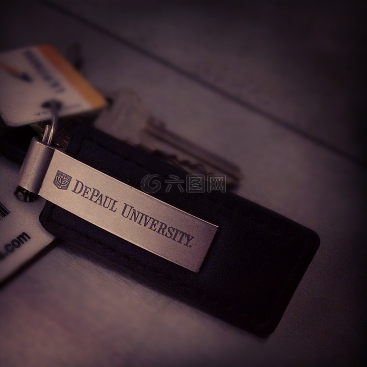 钥匙链,depaul,大学