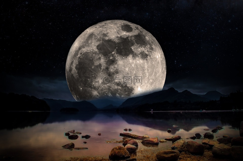 景观,夜,月亮