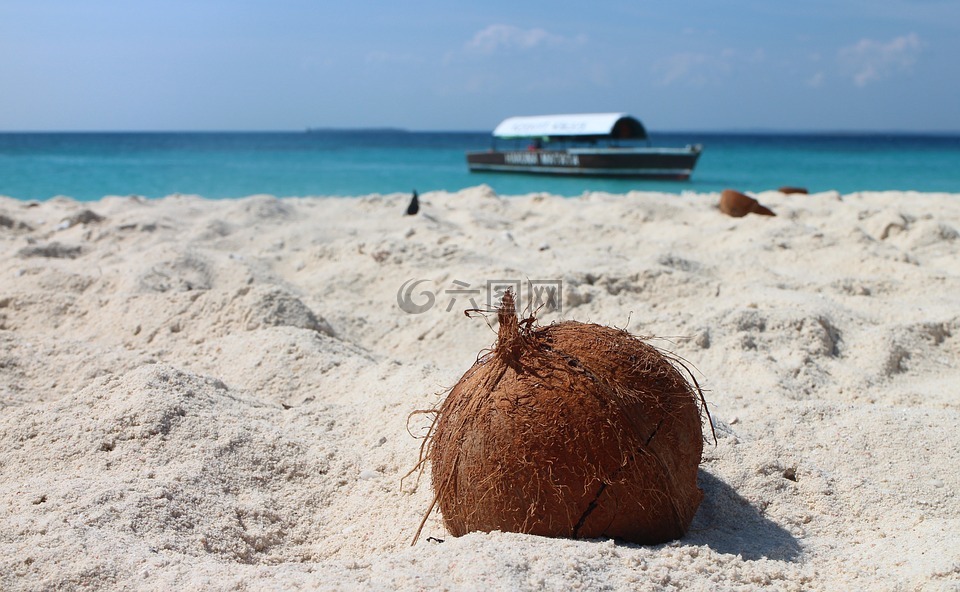椰子,海滩,沙