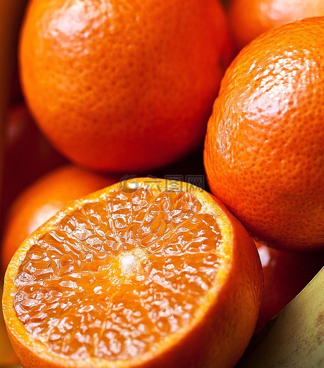橘子,官吏,南方水果