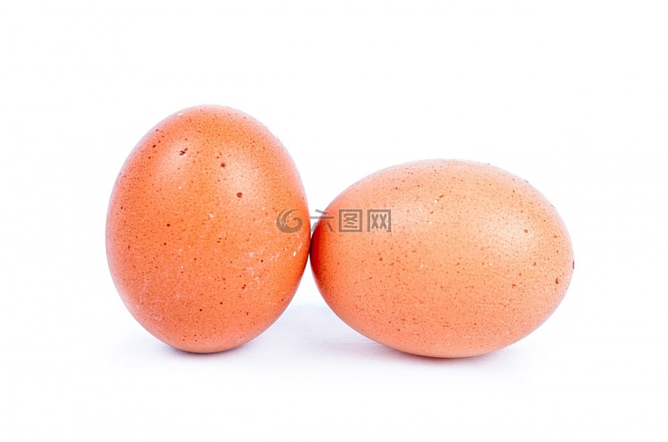 鸡蛋,鸡,椭圆形