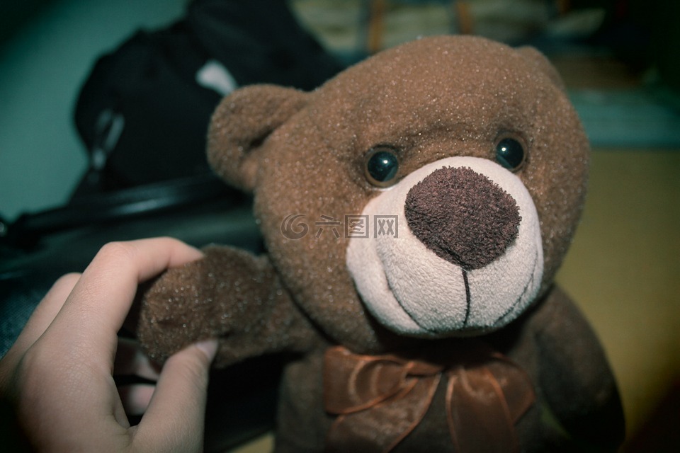 泰迪熊,娃娃,熊