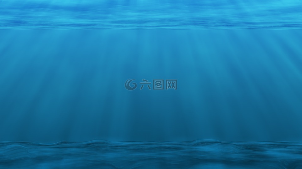 水下,海洋,浮游生物