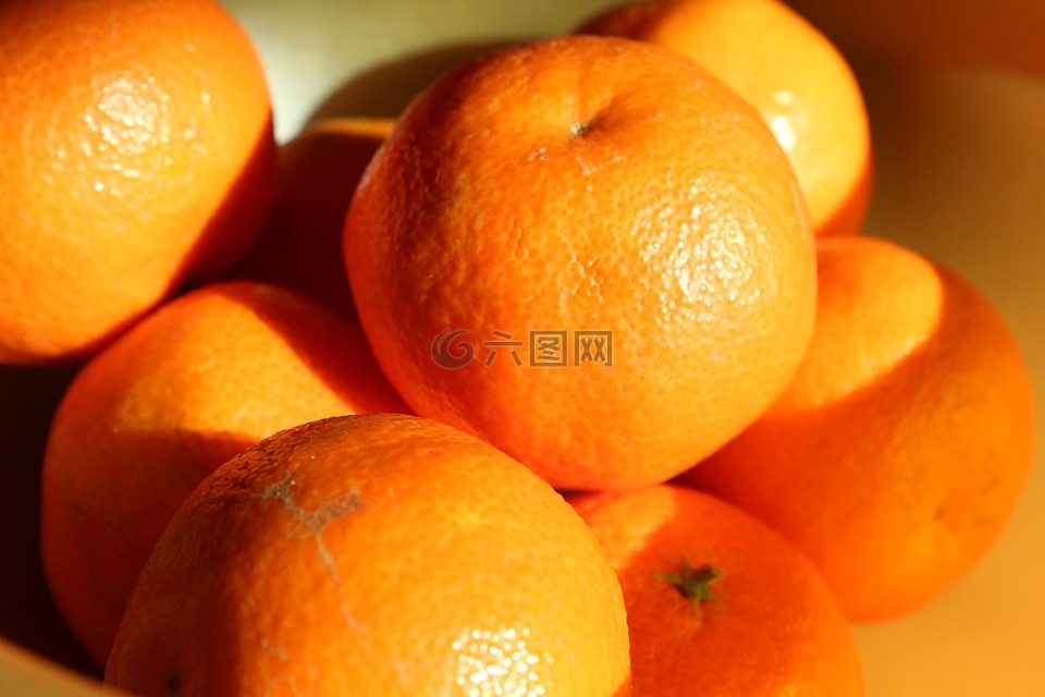 橘,柑橘属水果,水果