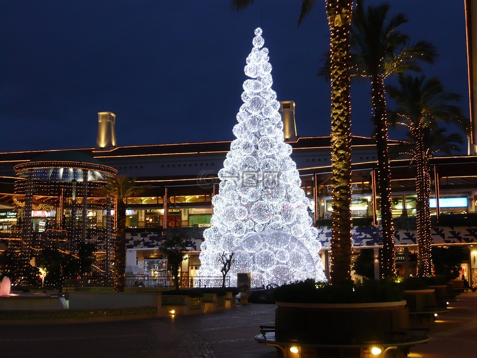圣诞节,照明,圣诞树木