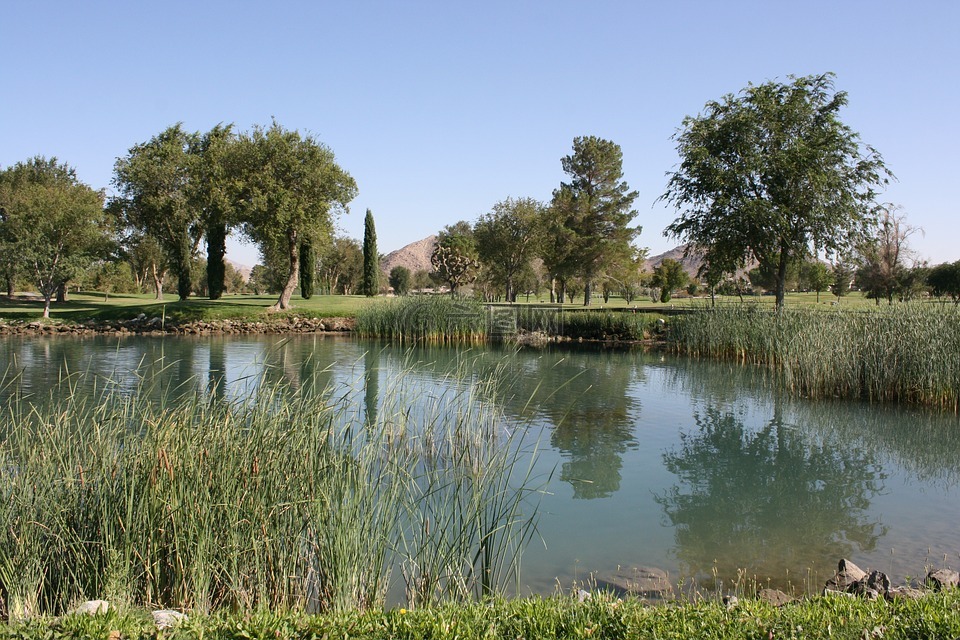 高尔夫球场,风景,池