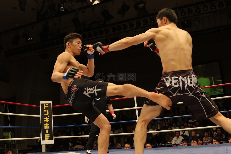 甲基丙烯酸甲酯,混合的武术,日本