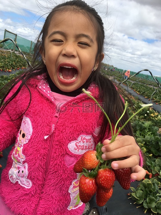孩子微笑采摘草莓,孩子,收获