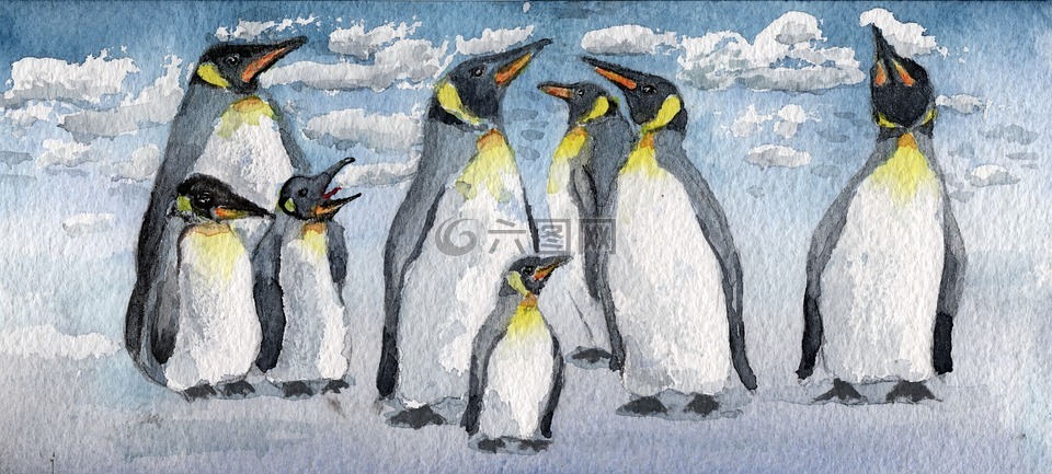水彩画,皇帝企鹅,鸟类
