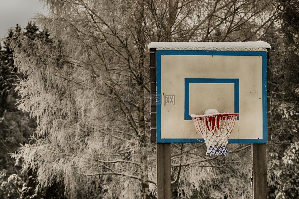 户外,篮球,树