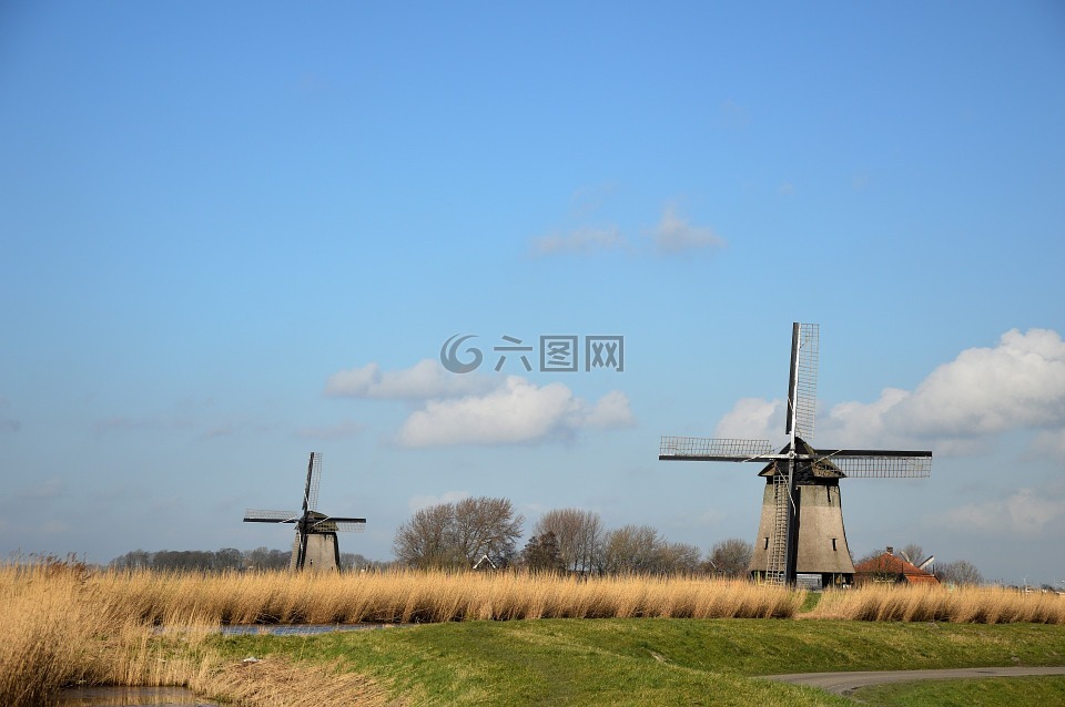 风车,荷兰,传统