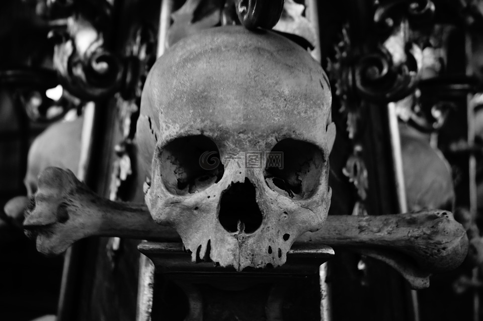 骷髅和交叉骨,头骨,骨教堂