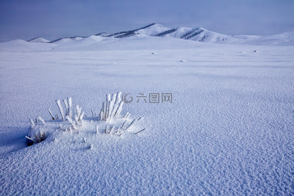 雪地,冷冻的,冬季