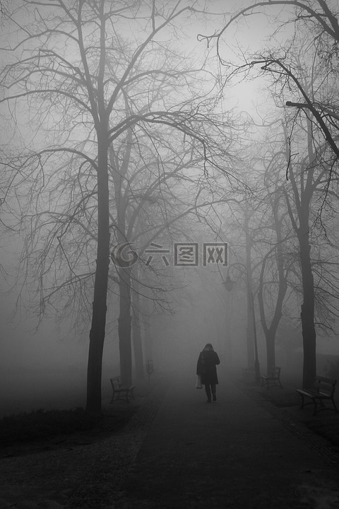 雾,秋,公园