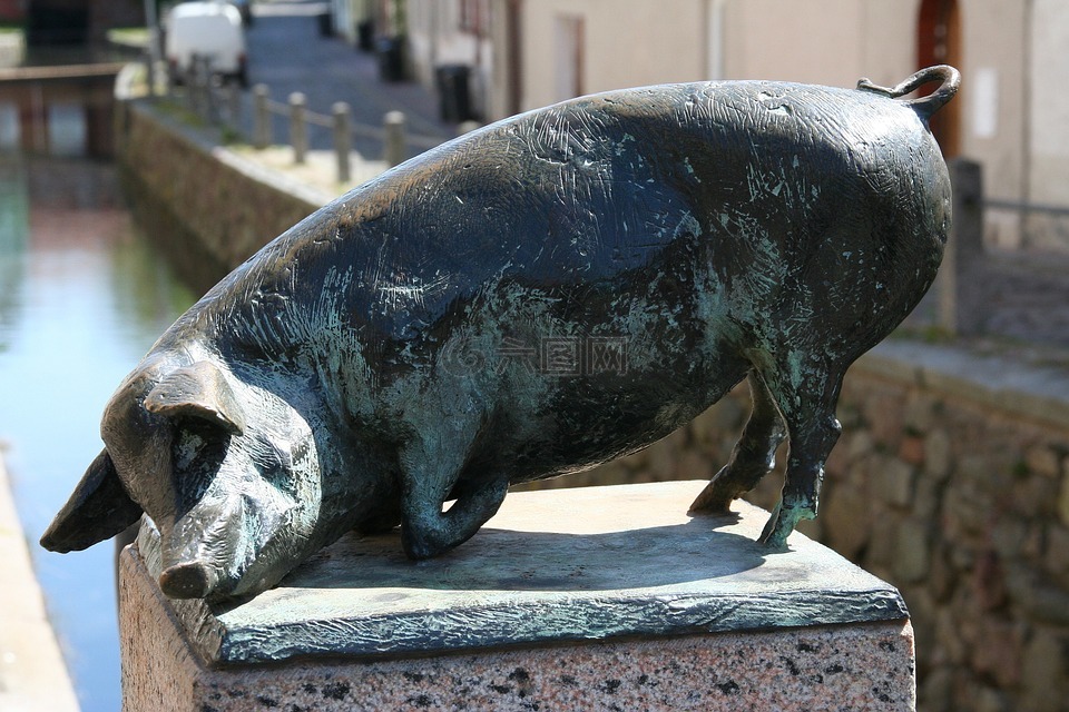 猪,铜像,wismar