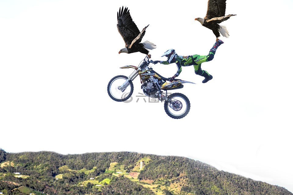 摩托车,老鹰,交叉