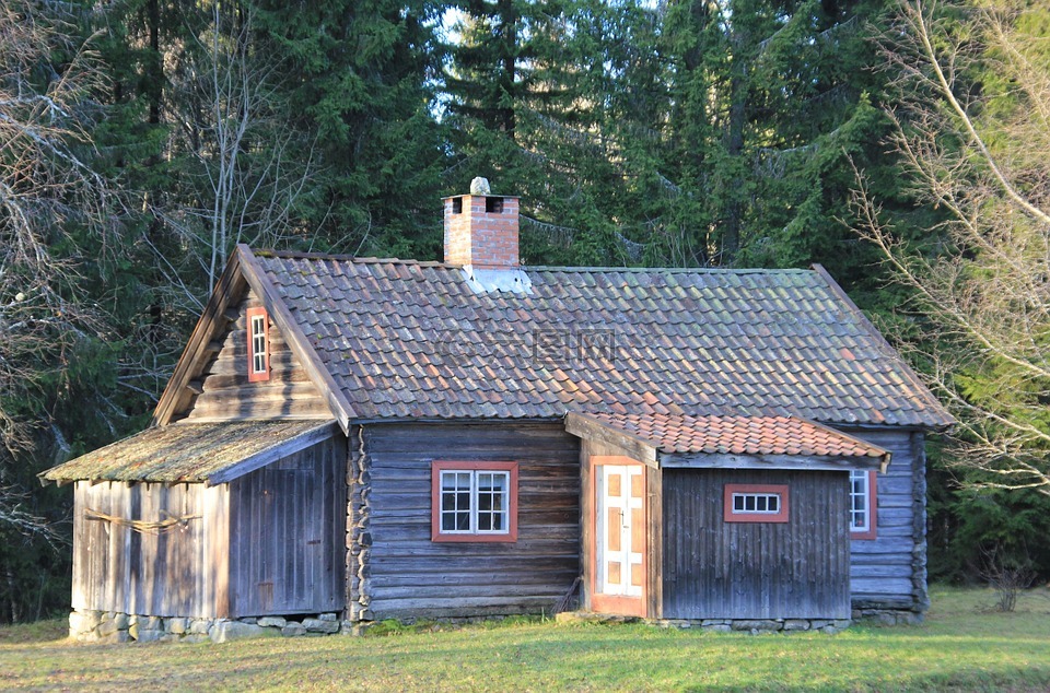 挪威,小木屋,森林