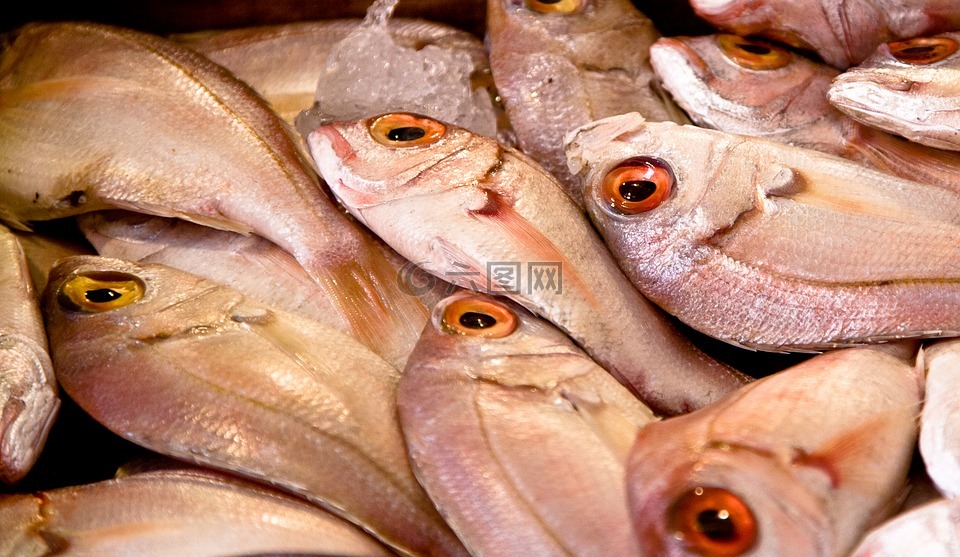 鱼,市场,食品