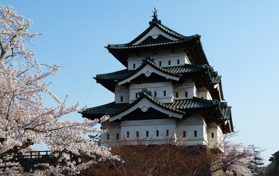 日本,城堡,建筑物