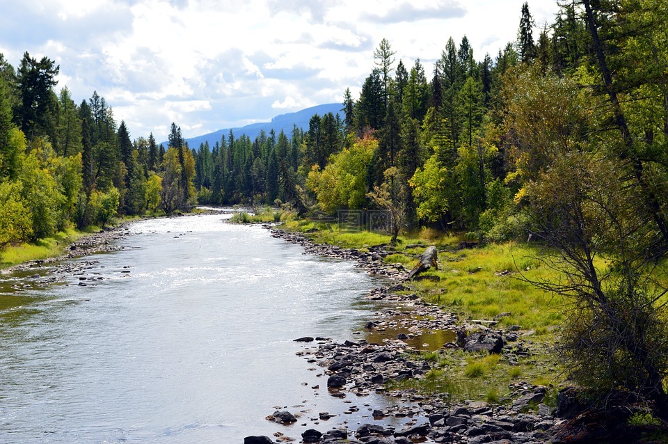 蒙大拿州,河,景观