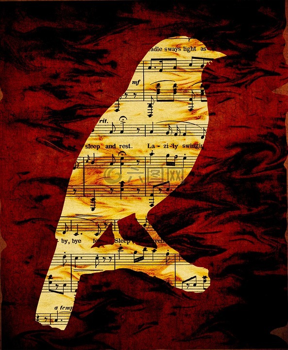 鸟,侧影,音乐笔记