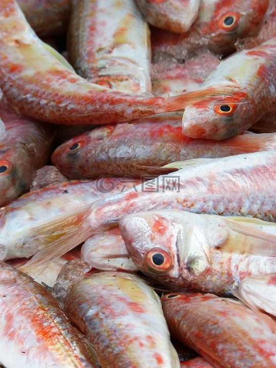 红鲻鱼,鲜鱼,地中海饮食