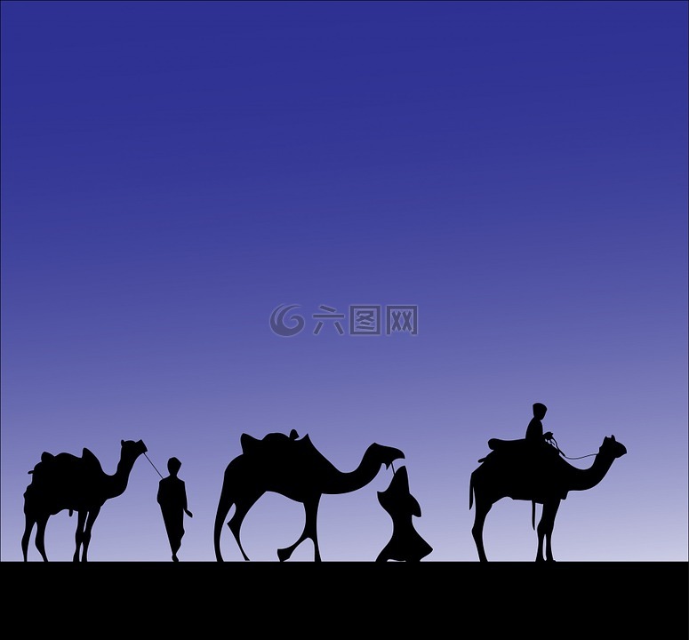 骆驼,智者,三个智者