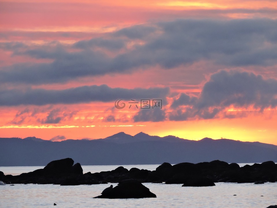 日落,海洋,岸