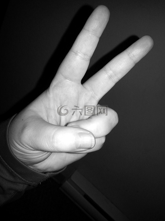 和平,手指标志,手语