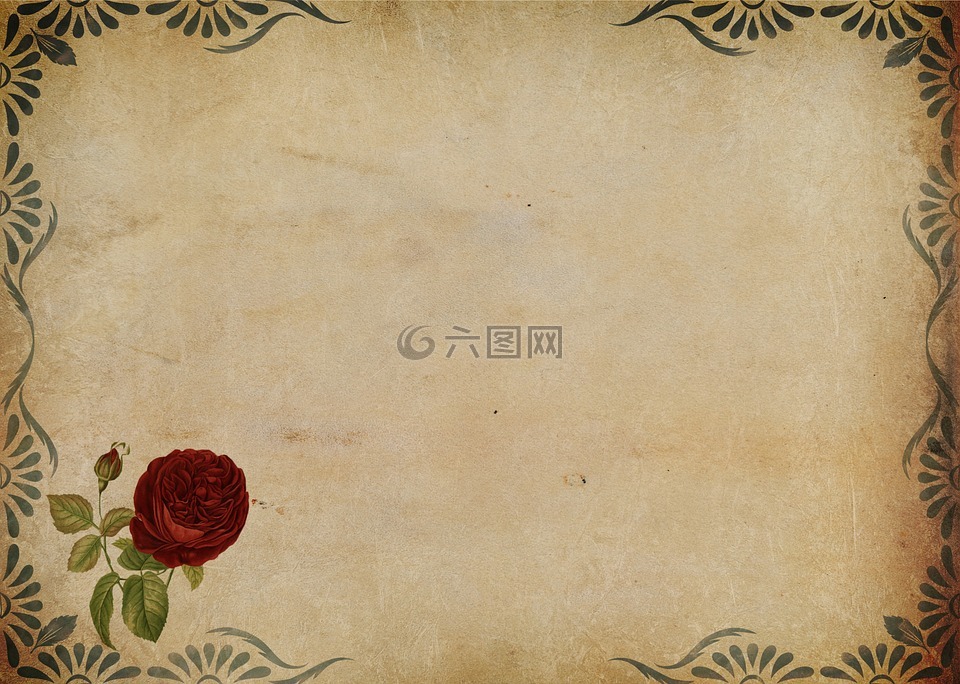 玫瑰,框架,背景图像