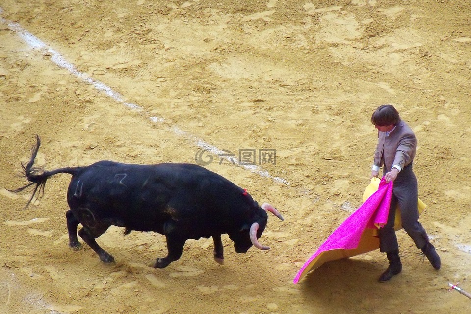 斗牛,牛市,西班牙