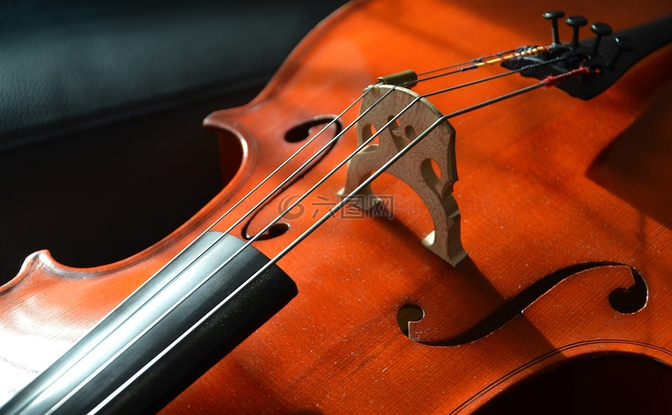 大提琴,字符串,弦乐器