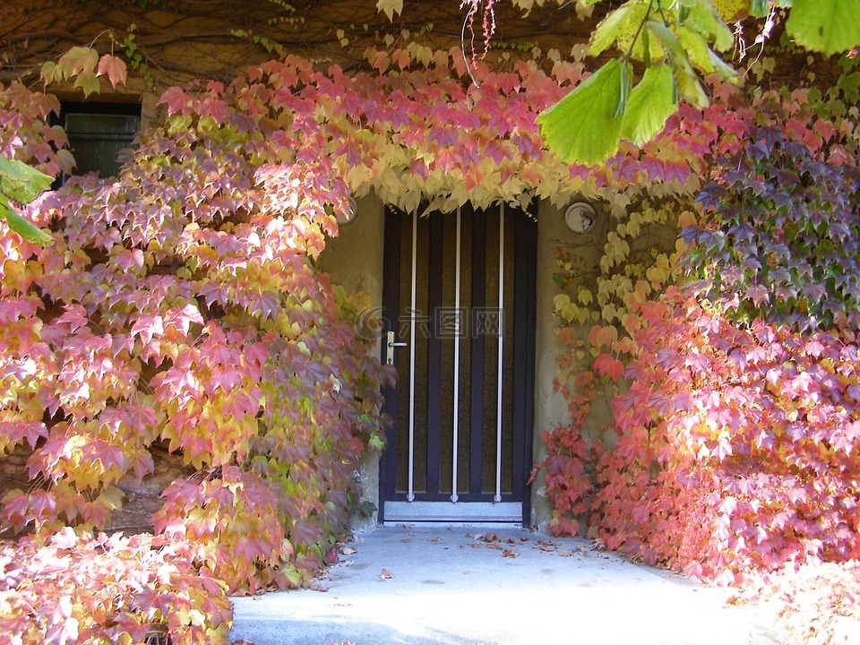 秋季,门架,金色的秋天