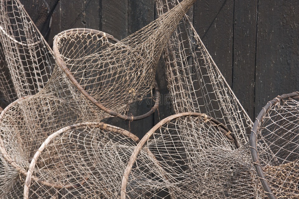 渔业,渔网,钓鱼