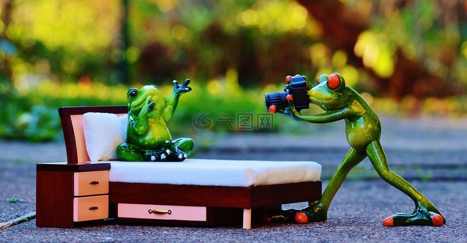摄影师,青蛙,拍摄照片