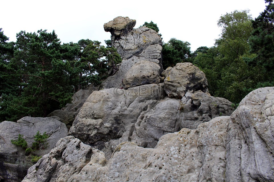 坐着的女人,dörenther 剪辑,条顿堡森林