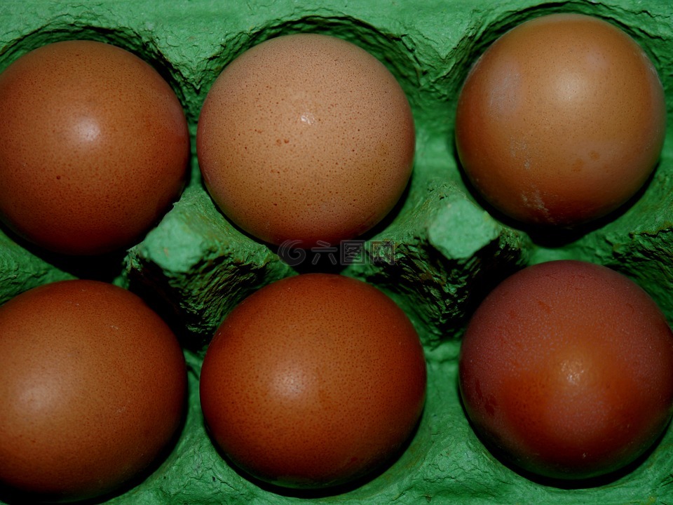 蛋,蛋壳,纸板