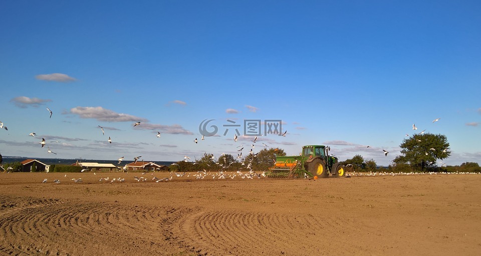 景观,丹麦,作为岛屿