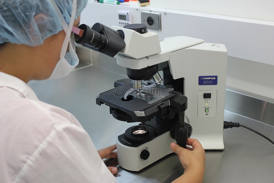 显微镜,实验室,诊断
