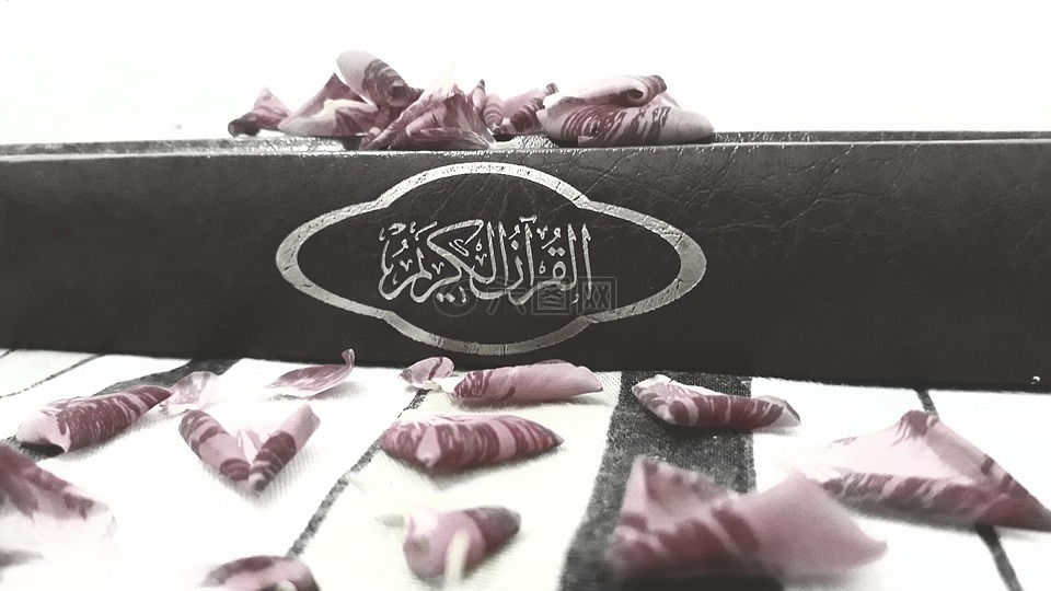 古兰经,花,书